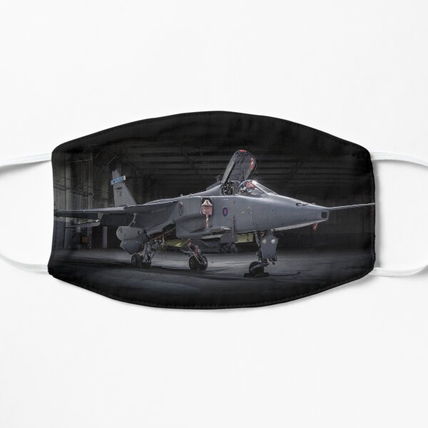 Jaguar GR.3 at RAf Cosford Flat Mask