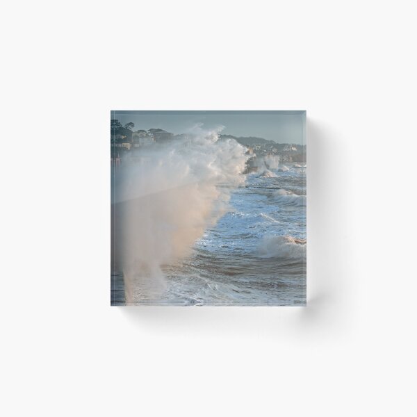 Item preview, Sea Amazing  designed and sold by Beverley Barrett.