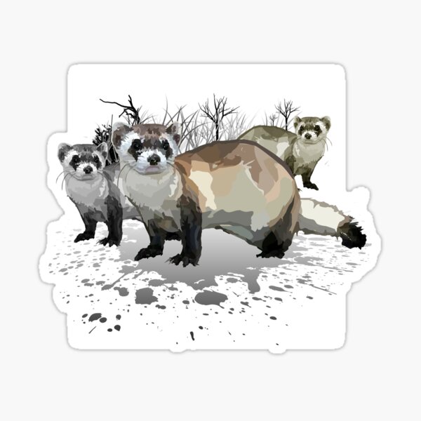 Ferrets Sticker