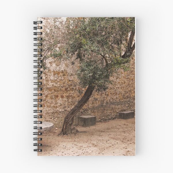 Item preview, Touring The Saint George Castle - 10 - Scenes From The Main Courtyard © designed and sold by © Hany G. Jadaa © Prince John Photography.