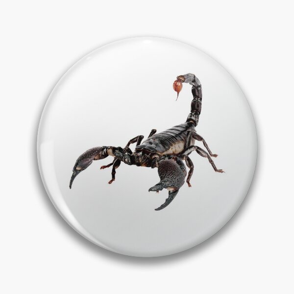 Item preview, Scorpion designed and sold by DoodleDashCollective.