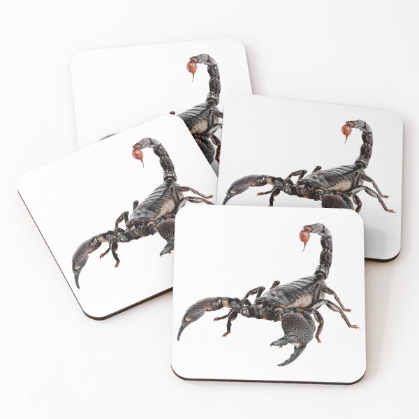 Item preview, Scorpion designed and sold by DoodleDashCollective.
