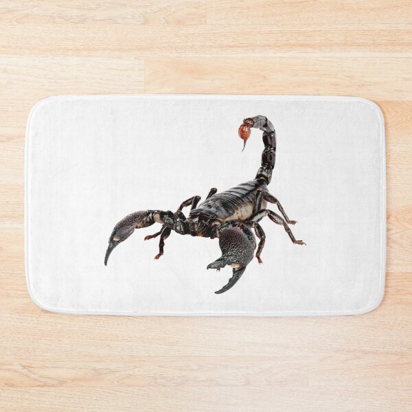 Item preview, Scorpion designed and sold by DoodleDashCollective.