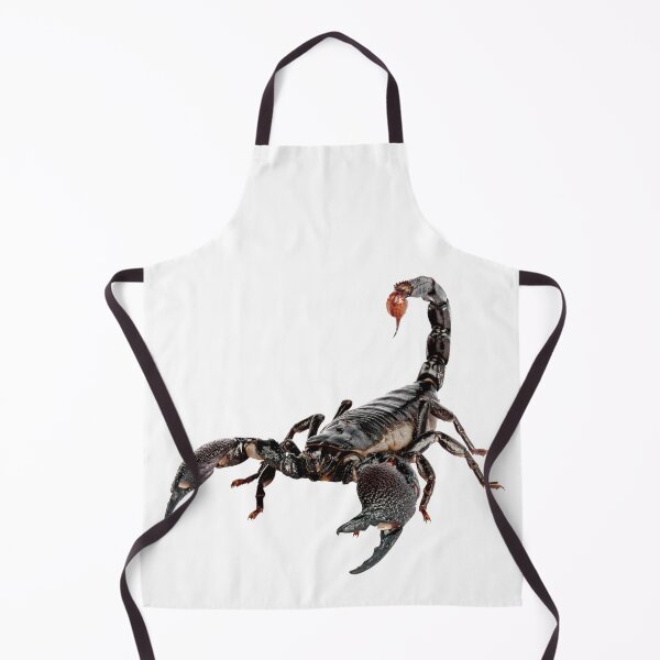 Item preview, Scorpion designed and sold by DoodleDashCollective.