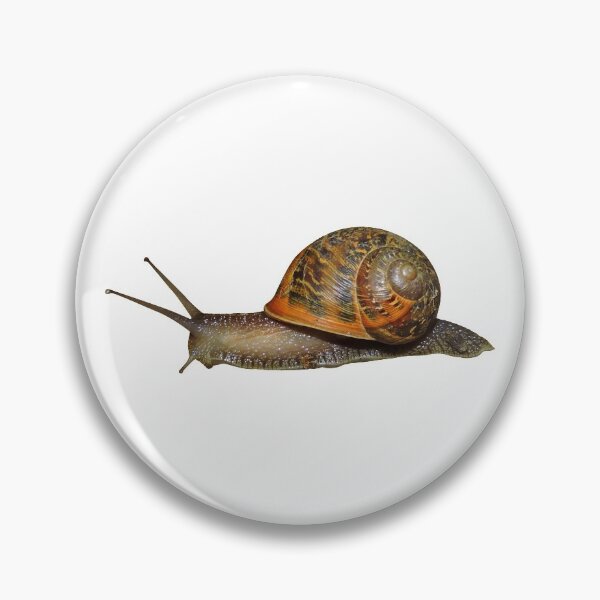 Item preview, Snail designed and sold by DoodleDashCollective.