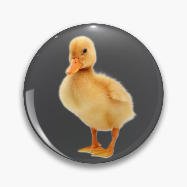 Artikelvorschau, "Fluffy Baby Ducky" entworfen und verkauft von bohokitty.