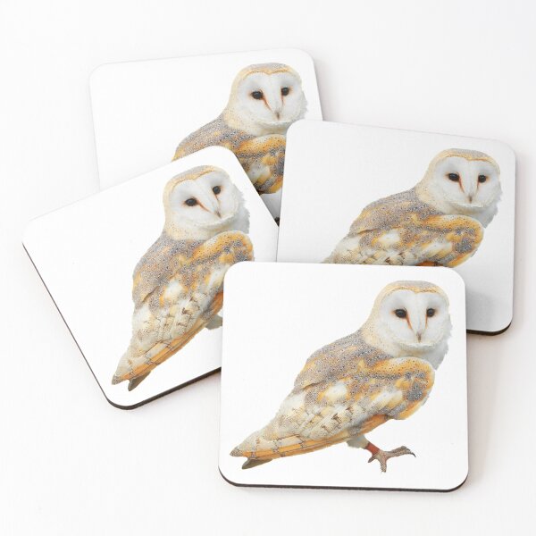 Item preview, Barn Owl designed and sold by DoodleDashCollective.