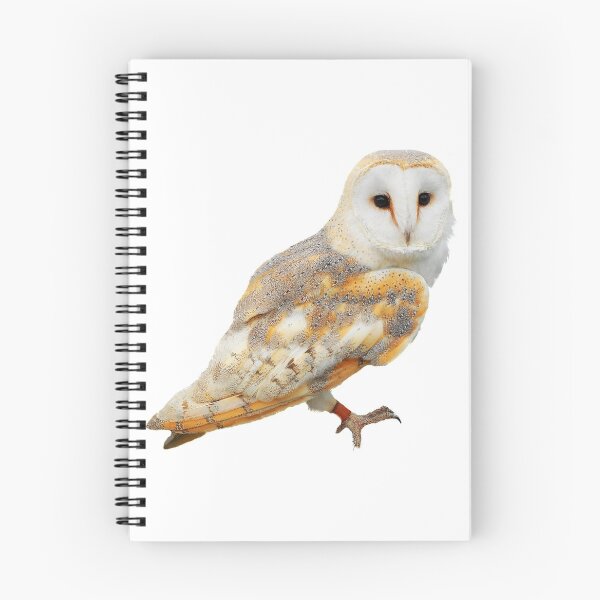 Item preview, Barn Owl designed and sold by DoodleDashCollective.