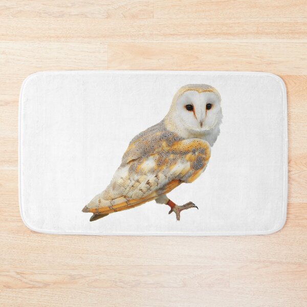 Item preview, Barn Owl designed and sold by DoodleDashCollective.