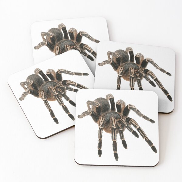 Item preview, Tarantula designed and sold by DoodleDashCollective.