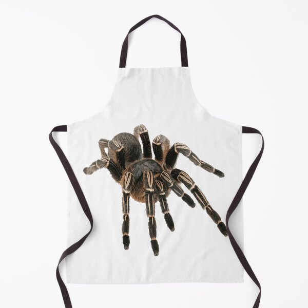 Item preview, Tarantula designed and sold by DoodleDashCollective.