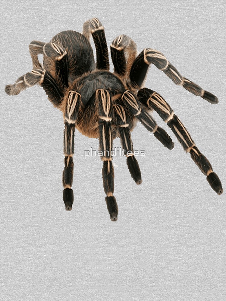 Tarantula by phandiltees