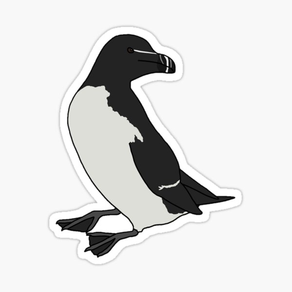 Item preview, Razorbill Auk designed and sold by taylorrowan.
