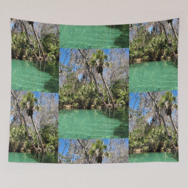 Item preview, Rainbow Springs State Park, Dunnellon, Florida, Crystal Clear Cove designed and sold by CaptainNook.