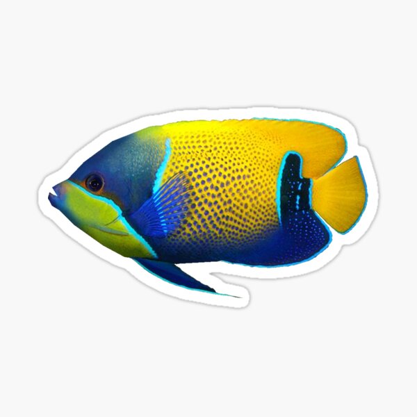 Artikel-Vorschau von Tropischer Fisch, designt und verkauft von DoodleDashCollective.