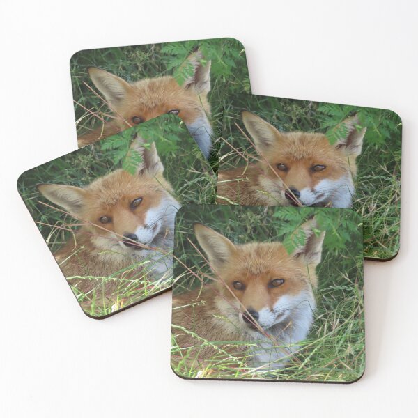 Item preview, A Gorgeous Red Fox designed and sold by Karen Thomson.