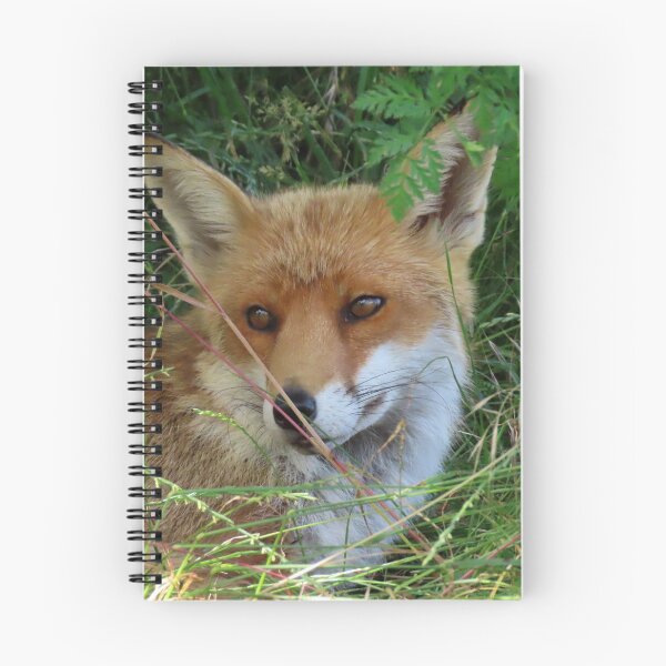 Item preview, A Gorgeous Red Fox designed and sold by Karen Thomson.
