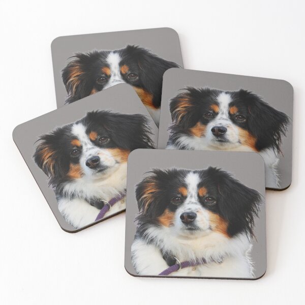 Item preview, Lovely australian shepherd dog face designed and sold by Arun Fernando.