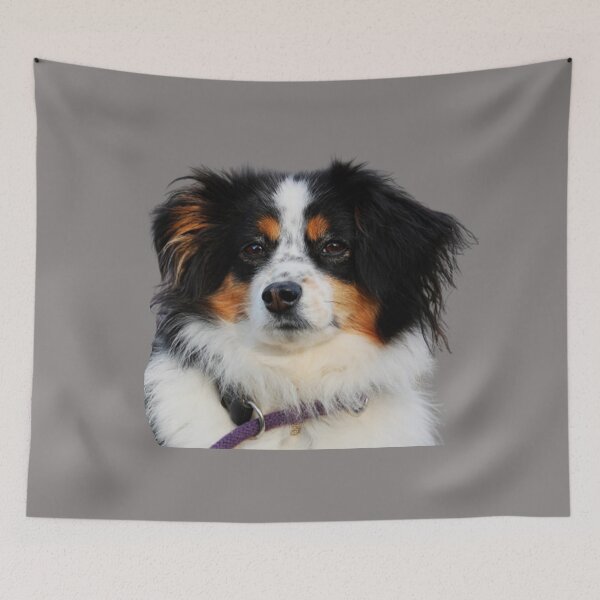 Item preview, Lovely australian shepherd dog face designed and sold by Arun Fernando.