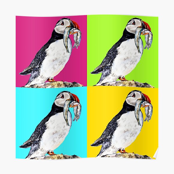 Colourful Puffins Poster
