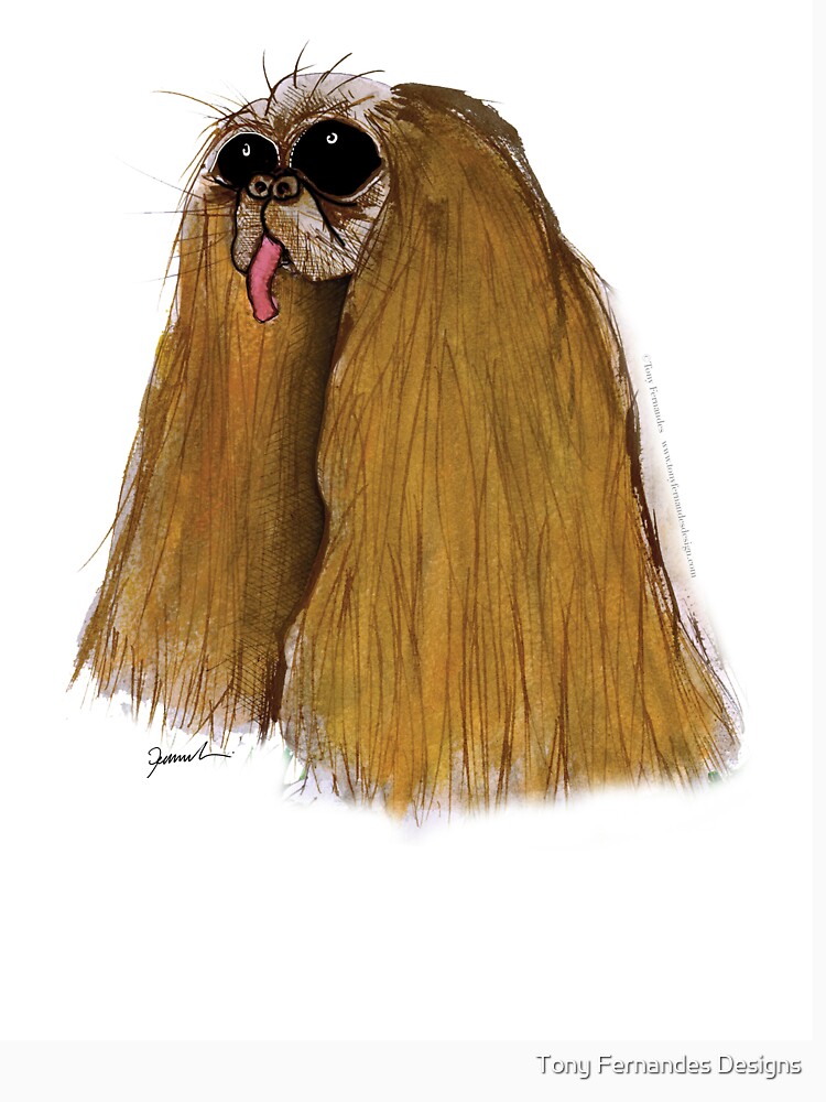 a Cavalier King Charles Spaniel by tonyfernandes1