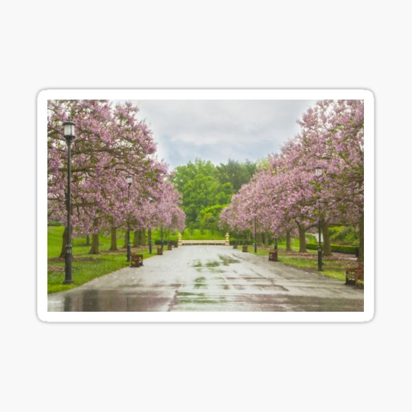 Longwood's Grand Allee Sticker