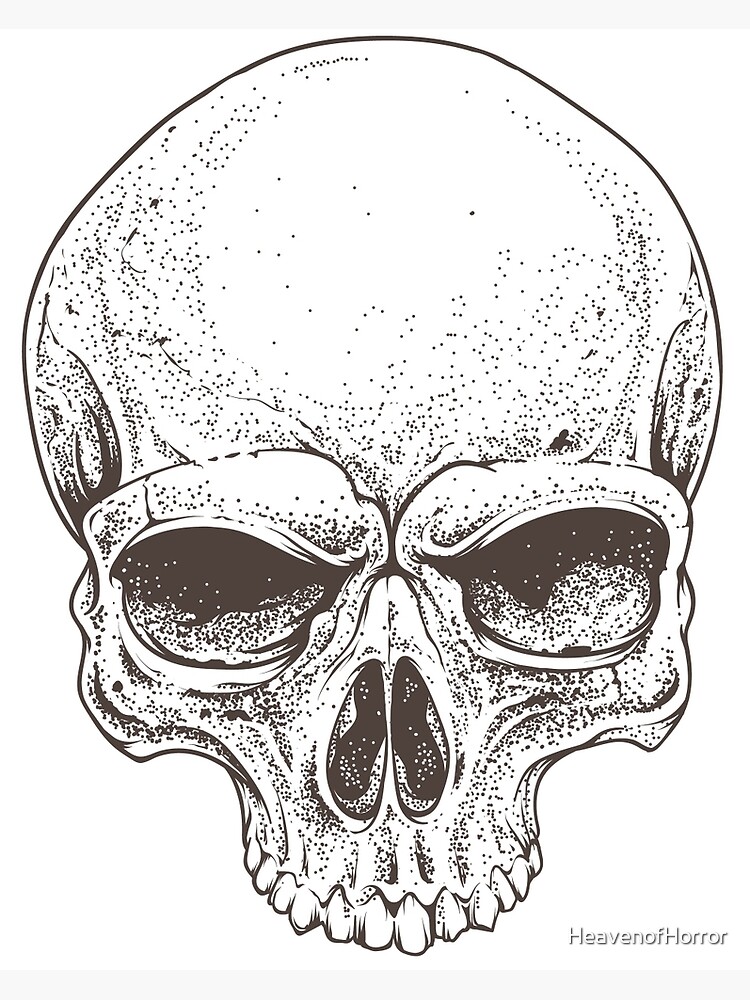 Realistic Skull Sketch Design