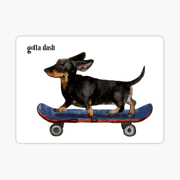 Gotta Dash Dachshund On Skateboard Ink Illustration Sticker