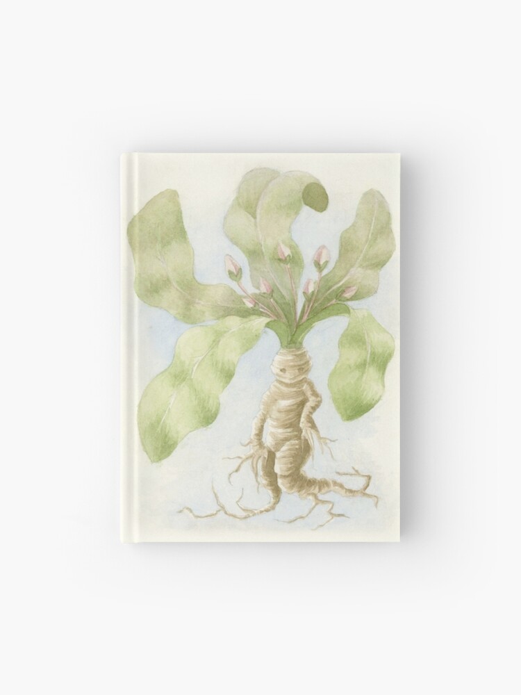 Mandrake Roots Stock Illustrations – 20 Mandrake Roots Stock