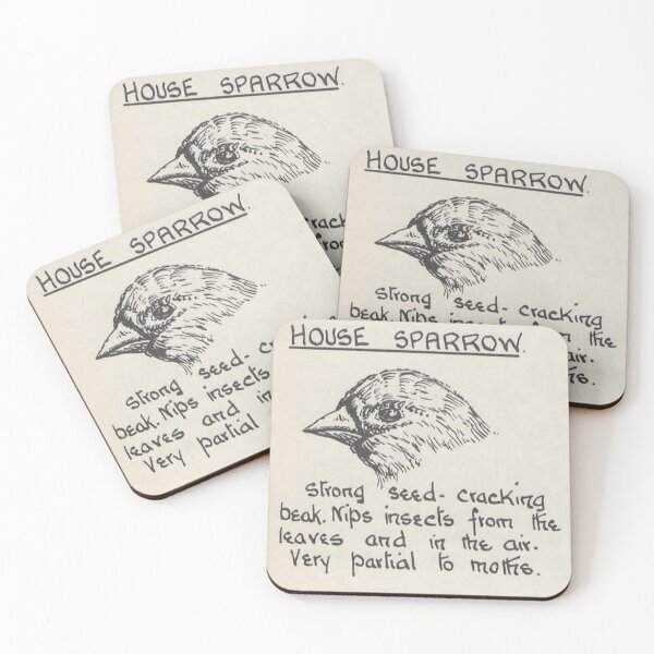 Item preview, House Sparrow Diagram designed and sold by FunnyScot.