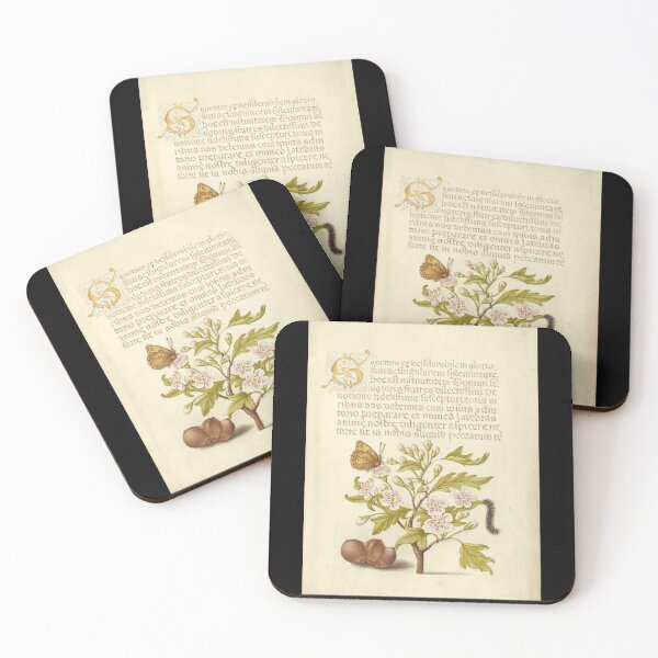 Item preview,  Hawthorn, Caterpillar and Butterfly. designed and sold by Salocin.