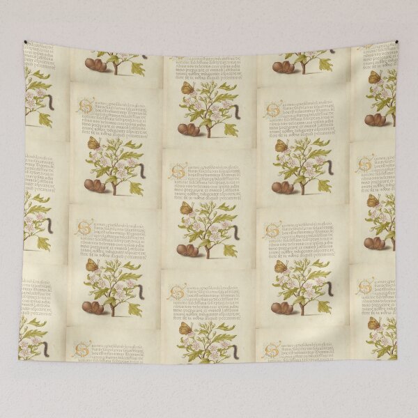 Item preview,  Hawthorn, Caterpillar and Butterfly. designed and sold by Salocin.