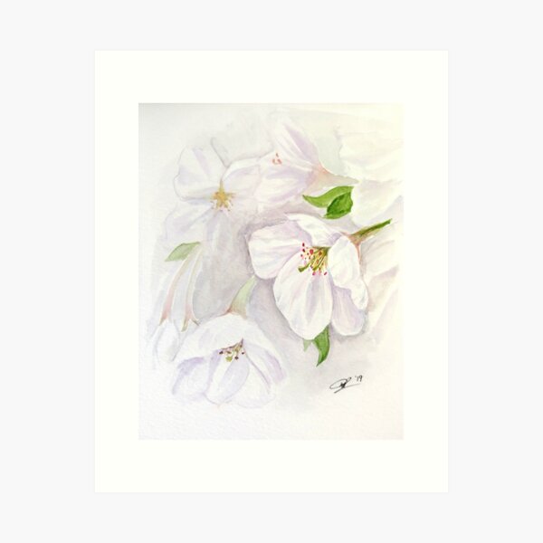 Seattle Blooms Art Print