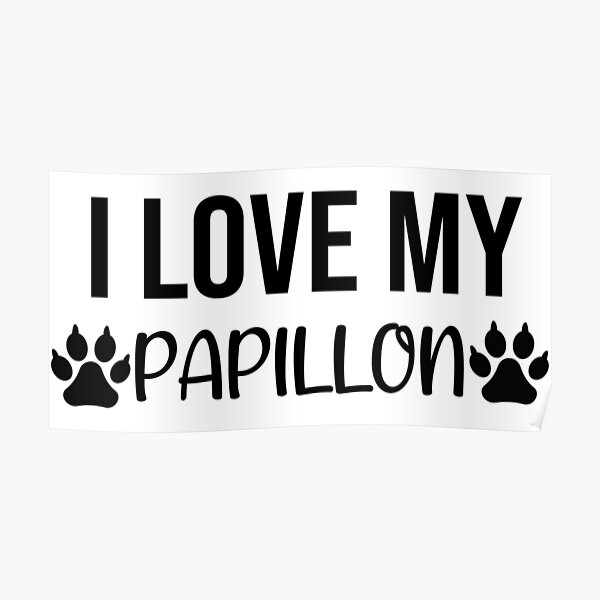 Poster Papillon Hund Redbubble