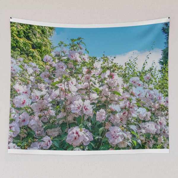 Item preview, Hibiscus flowers designed and sold by Photopat.