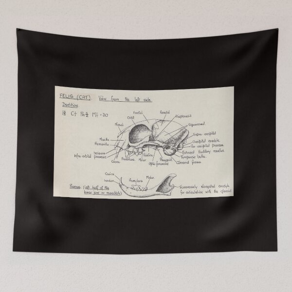 Item preview, Cat Biological Diagram Vintage designed and sold by FunnyScot.