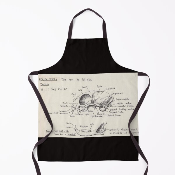 Item preview, Cat Biological Diagram Vintage designed and sold by FunnyScot.
