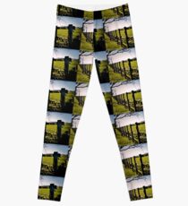 Rural Boundaries... Leggings