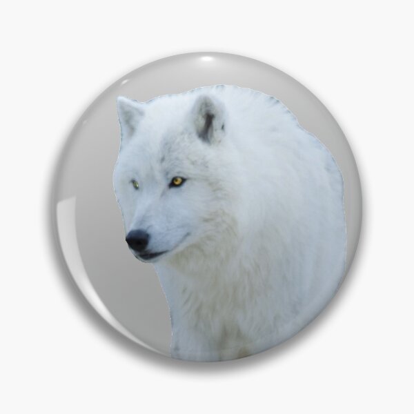 Item preview, Beautiful White Wolf designed and sold by FilipeFerreira.