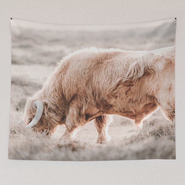 Item preview, Scottish Highlander | Animal Photography | Scottish Highlander Art Print designed and sold by Melissa Peltenburg.