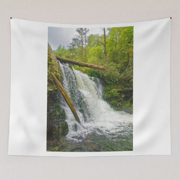 Item preview, Abrams Falls, Great Smoky Mountains designed and sold by Brian Shaw.