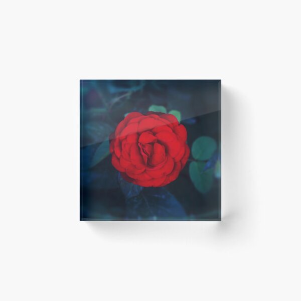 Item preview, Red Rose in the Dark designed and sold by mrhighsky.