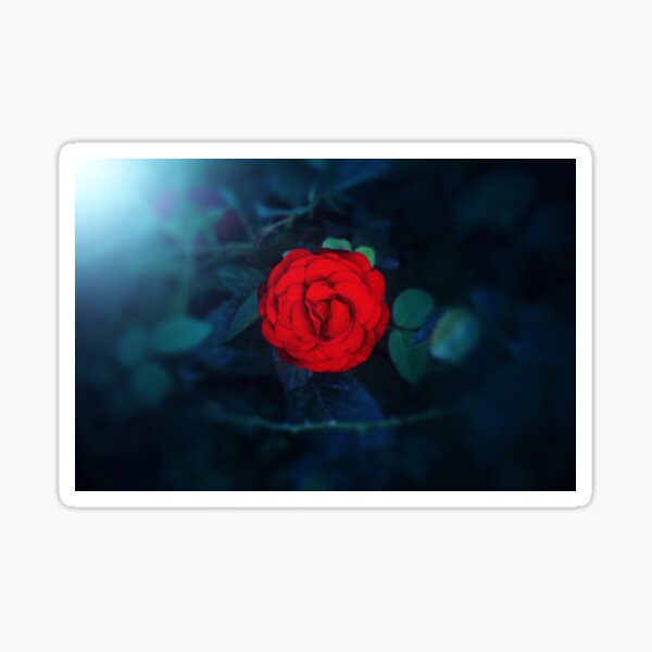Item preview, Red Rose in the Dark designed and sold by mrhighsky.