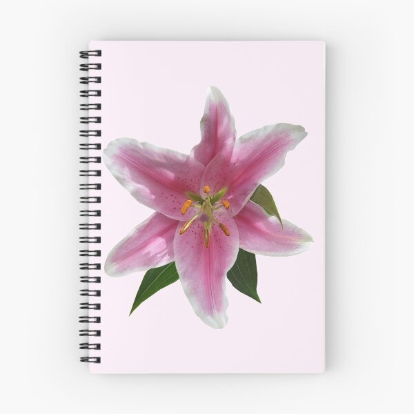 Item preview, Single Stargazer Lily designed and sold by Susan Savad.