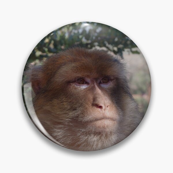 Item preview, Berker monkey enjoying the shade designed and sold by JDfotografie.