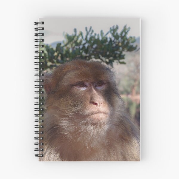 Item preview, Berker monkey enjoying the shade designed and sold by JDfotografie.