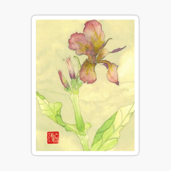 Aperçu de l'œuvre Iris créée et vendue par donnastares.