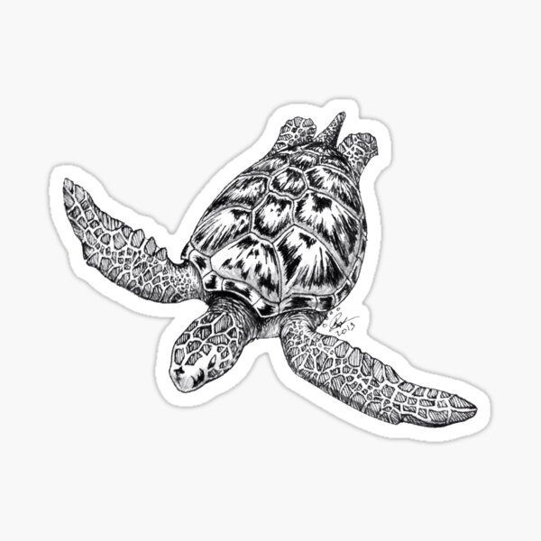 Inked Sea Turtle Sticker