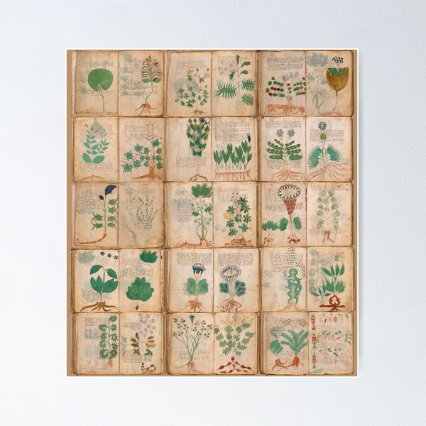 Item preview, The Voynich Manuscript Pages Set designed and sold by Try-It.