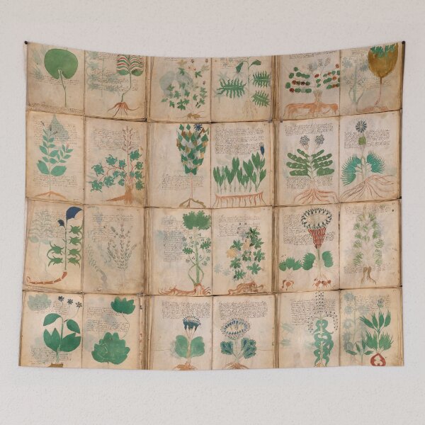 Item preview, The Voynich Manuscript Pages Set designed and sold by Try-It.